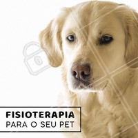 Seu melhor amigo merece o melhor tratamento!
#fisioterapia #animais #ahazoupet #pet #vet