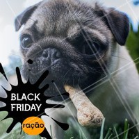 Temos desconto especial na Black Friday. Aproveite! #pet #ahazou #promocao #blackfriday #desconto #ahazoupet