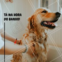 Agende já o banho do seu pet, ele merece ficar limpinho e cheiroso 😍 #cachorro #petshop #pet #ahazoupet #banhoetosa