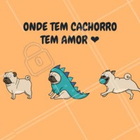 Você tem um cachorrinho? Então tem amor de sobra no seu lar. Além de termos ele como nosso fiel amigo e companheiro, temos o prazer de desfrutar de momentos de alegria que só quem tem um cachorro sabe o que é 😍. #cachorro #pet #ahazoupet #amor #cachorro