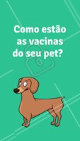 Seu pet está com as vacinas em dia? Isso é muito importante para que ele tenha uma vida longa e saudável, não deixe para depois, cuide do seu pet com todo o amor e carinho que ele merece. #pet #ahazoupet #amor #cuidados #vacina