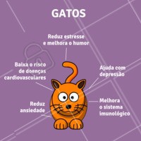 Você sabe quais são os benefícios de se ter um gatinho como bixinho de estimação? Então olha só a listinha que separamos para você. #pet #ahazoupet #amor #cuidados