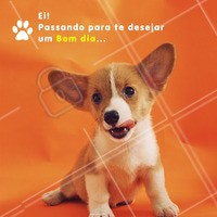 Bom dia, seguidores! 🐶 #bomdia #cachorro #ahazou #motivacional #inspiracional