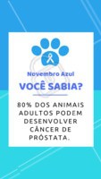 #stories #ahazou #pet