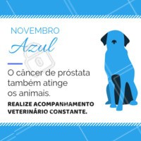 O acompanhamento veterinário é essencial para obter um diagnóstico precoce e realizar o melhor tratamento.
#pets #animais #ahazoupet #vet #novembroazul