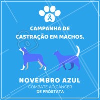 A melhor prevenção contra o câncer de próstata é realizar a castração do seu pet! Entre em contato conosco para saber mais.
#pets #animais #ahazoupet #vet #novembroazul