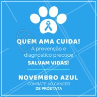 Manter um acompanhamento veterinário regularmente é fundamental para obter um diagnóstico precoce e realizar o melhor tratamento!
#pets #animais #ahazoupet #vet #novembroazul