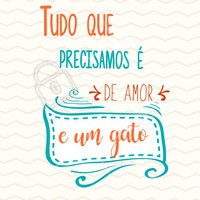 O combo perfeito pra ser feliz 😘 #gato #ahazoupet #pet #animal #petshop #gatos