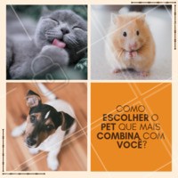 Na hora de escolher um pet, vários fatores devem ser levados em consideração.
👉 tamanho da casa/apartamento
👉 sua personalidade (calmo, agitado, etc)
👉 se você viaja bastante
👉 sua rotina
#pet #ahazou #petshop #animal #veterinario