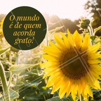Quem concorda? 😜 Bom dia, seguidores! #bomdia #motivacional #ahazou #frasesinspiraçao