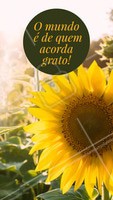 Quem concorda? 😜 Bom dia, seguidores! #bomdia #motivacional #ahazou #frasesinspiraçao
