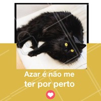 Você sabia que os gatinhos pretos demoram 13% a mais de tempo para serem adotados em relação aos outros? Além de serem mais mau tratados e sofrerem preconceito. 😢 Mas só quem tem um gatinho preto sabe que eles ofeecem tanto amor como os outros! Chega de preconceito. Denuncie maus-tratos. #gato #ahazoupet #pet #animais #gatopreto