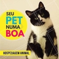 Seu pet merece ficar numa boa! 😎 #cachorro #ahazou #pets #pet #animais #hospedagemanimal #hospedagempet #hotelpet