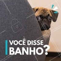 Seu pet morre de medo da hora do banho? 😱 Traga ele para um banho, profissionais qualificados e experientes que vão tornar o momento do banho do seu pet muito mais tranquilo. #pets #ahazou #animais #cachorro #gato #petshop #veterinario