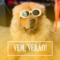 Quem aí tá ansioso pro Verão chegar logo? 🌊☀ #verao #ahazou #pet #animais #ahazoupet #petshop