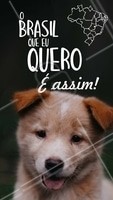Quem aí também acredita que só os filhotes fofos podem salvar o Brasil? 🐶😂 #cachorro #filhote #puppy #ahazoupet #animais #petshop