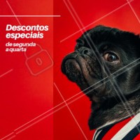 Conheça os pacotes mais incríveis de beleza para o seu pet, com descontos especiais de segunda a quarta. Entre em contato pelo nosso telefone XXXX #pet #beleza #petshop #ahazou #promocao