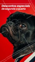 Conheça os pacotes mais incríveis de beleza para o seu pet, com descontos especiais de segunda a quarta. Entre em contato pelo nosso telefone XXXX #pet #beleza #petshop #ahazou #promocao