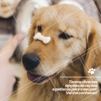 Sabe aquela variedade de comidinhas que você sempre sonhou para o seu pet? Nós temos!
#pet #ahazoupet #pestiscos