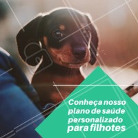 Novidade! Temos planos de saúde PERSONALIZADOS para o seu filhote! Entre em contato conosco e saiba mais.
#pet #planodesaude #ahazoupet #saude #filhotes