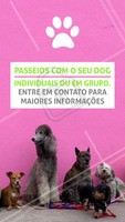 Seu dog precisa de exercícios e passeios. Ofereço esse serviço com todo o amor e cuidado para o seu peludo. Entre em contato para maiores informações! ☎ XXXXXXXXX #dogwalker #dogs #passeio #passeador #ahazouapp #ahazoupet #pets #exercicio