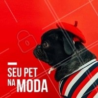 Ama vestir seu pet e deixá-lo na moda? 😎 Venha conferir as roupinhas disponíveis que temos aqui! #pet #cachorro #ahazou #ahazoupet #modacanina #petshop