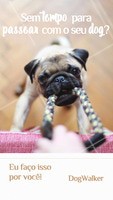 Seu dog precisa de exercícios e passeios. Ofereço esse serviço com todo o amor e cuidado para o seu peludo. Entre em contato para maiores informações! ☎ XXXXXXXXX #dogwalker #dogs #passeio #passeador #ahazouapp #ahazoupet #pets #exercicio