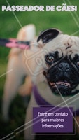 Seu dog precisa de exercícios e passeios. Ofereço esse serviço com todo o amor e cuidado para o seu peludo. Entre em contato para maiores informações! ☎ XXXXXXXXX #dogwalker #dogs #passeio #passeador #ahazouapp #ahazoupet #pets #exercicio