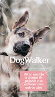 Seu dog precisa de exercícios e passeios. Ofereço esse serviço com todo o amor e cuidado para o seu peludo. Entre em contato para maiores informações! ☎ XXXXXXXXX #dogwalker #dogs #passeio #passeador #ahazouapp #ahazoupet #pets #exercicio