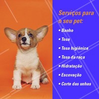 É só agendar um horário e trazer o seu pet para se cuidar também! ☎ XXXXX #banho #pet #ahazouapp #ahazoupet #banhoetosa #petshop #servicos