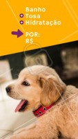 Montamos um combo que seu pet vai amar! Agende um horário com a gente. #pet #banho #ahazoupet #tosa #hidratacao #pelos lindos