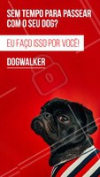 Seu dog precisa de exercícios e passeios. Ofereço esse serviço com todo o amor e cuidado para o seu peludo. Entre em contato para maiores informações! ☎ XXXXXXXXX #dogwalker #dogs #passeio #passeador #ahazouapp #ahazoupet #pets #exercicio