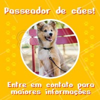 Seu dog precisa de exercícios e passeios. Ofereço esse serviço com todo o amor e cuidado para o seu peludo. Entre em contato para maiores informações! ☎ XXXXXXXXX #dogwalker #dogs #passeio #passeador #ahazouapp #ahazoupet #pets #exercicio