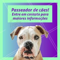 Seu dog precisa de exercícios e passeios. Ofereço esse serviço com todo o amor e cuidado para o seu peludo. Entre em contato para maiores informações! ☎ XXXXXXXXX #dogwalker #dogs #passeio #passeador #ahazouapp #ahazoupet #pets #exercicio