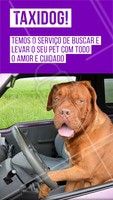 Sem tempo para trazer o seu pet para o petshop? Seus problemas acabaram! Agende um horário que iremos até você! #taxidog #petshop #ahazouapp #ahazoupet #pets