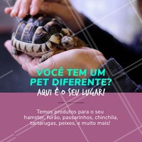 Não perca tempo e venha conhecer os nossos produtos, seu animalzinho merece! #pet #produtos #ahazouapp #ahazoupet #petshop #racao #petiscos #acessorios
