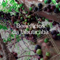 Entre as frutas típicas de fim de ano, está a jabuticaba. A mais brasileira de todas essas frutas (e também a mais barata) bate um bolão quando o assunto é proteger a saúde. Sua polpa é rica em água, minerais e açúcares, mas é na casca que estão concentradas as fibras e os compostos fenólicos. #frutas #jabuticaba #ahazoapp #fimdeano