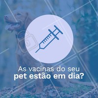 As vacinas são prioridades para a saúde do seu bichinho. Traga-o para os nossos especialistas! #veterinario #vet #pet #ahazouapp #ahazoupet #vacinas #checkup #consulta