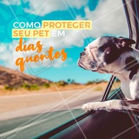 Assim como nós, nossos pets também sofrem com o calor. Por isso, aqui vai algumas dicas de como protegê-lo!
💧 Evite passear entre as 10h e 17h.
💧 Mantenha a água do pote sempre fresca e limpa.
💧 Dê banhos mais frequentemente.
💧 Jamais deixe-o trancado dentro do carro, mesmo com as janelas semi-abertas.
💧 Antes do passeio, coloque sua mão no asfalto ou na areia da praia e veja se você consegue aguentar por alguns segundos. Se você não consegue, seu pet também não conseguirá e poderá sofrer graves queimaduras nas almofadinhas das patas.
💧 Prefira sempre passeios em parques com grama.
💧 Utilize colchões gelados que encontram-se à venda nos petshops.
💧 Cães de pelagem escura absorvem mais os raios solares.
💧 Cães de pelagem clara devem evitar exposição frequente ao sol devido à maior chance de tumores de pele.
Atenção❗️ Percebendo qualquer sinal de desidratação, procure um médico veterinário 👩🏻⚕️👨🏻⚕️ #veterinario #vet #pet #ahazouapp #ahazoupet #cuidados #verao #calor