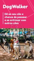 Seu dog precisa de exercícios e passeios. Ofereço esse serviço com todo o amor e cuidado para o seu peludo. Entre em contato para maiores informações! ☎ XXXXXXXXX #dogwalker #dogs #passeio #passeador #ahazouapp #ahazoupet #pets #exercicio