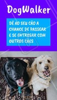 Seu dog precisa de exercícios e passeios. Ofereço esse serviço com todo o amor e cuidado para o seu peludo. Entre em contato para maiores informações! ☎ XXXXXXXXX #dogwalker #dogs #passeio #passeador #ahazouapp #ahazoupet #pets #exercicio