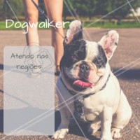 Seu dog precisa de exercícios e passeios. Ofereço esse serviço com todo o amor e cuidado para o seu peludo. Entre em contato para maiores informações! ☎ XXXXXXXXX #dogwalker #dogs #passeio #passeador #ahazouapp #ahazoupet #pets #exercicio