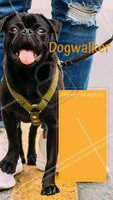 Seu dog precisa de exercícios e passeios. Ofereço esse serviço com todo o amor e cuidado para o seu peludo. Entre em contato para maiores informações! ☎ XXXXXXXXX #dogwalker #dogs #passeio #passeador #ahazouapp #ahazoupet #pets #exercicio