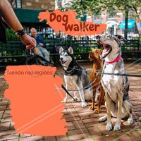 Seu dog precisa de exercícios e passeios. Ofereço esse serviço com todo o amor e cuidado para o seu peludo. Entre em contato para maiores informações! ☎ XXXXXXXXX #dogwalker #dogs #passeio #passeador #ahazouapp #ahazoupet #pets #exercicio