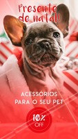 #stories #ahazou #pet