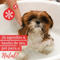 Não perca tempo e agende agora mesmo o banho do seu pet!
#petshop #ahazoupet #natal #banho #pets