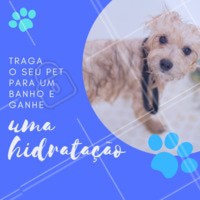 Traga seu pet e ganhe uma super hidratação para ele ficar com os pelos lindos e brilhando.
#pet #ahazoupet #banho #promocao