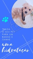 Traga seu pet e ganhe uma super hidratação para ele ficar com os pelos lindos e brilhando.
#pet #ahazoupet #banho #promocao
