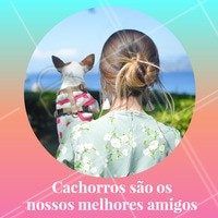 Quer amigo melhor que o seu dog? Não existe, né?! #pet #ahazoupet #amigao #dog