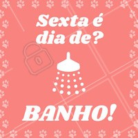 Traga seu pet para o banho e deixe ele lindão para o final de semana! 😍 #banho #pet #sexta #ahazouapp #ahazoupet #banhoetosa #petshop